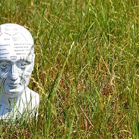 Gipskopf im Gras